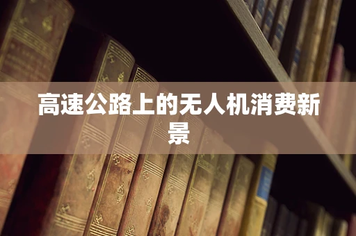 高速公路上的无人机消费新景