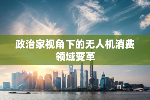政治家视角下的无人机消费领域变革
