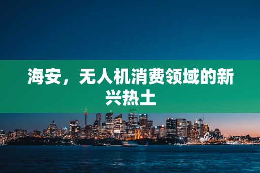 海安，无人机消费领域的新兴热土