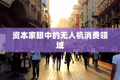 资本家眼中的无人机消费领域