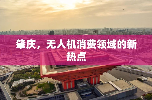 肇庆，无人机消费领域的新热点