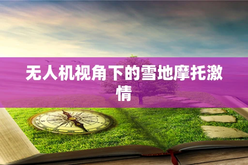 无人机视角下的雪地摩托激情