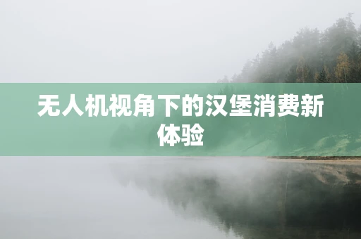 无人机视角下的汉堡消费新体验