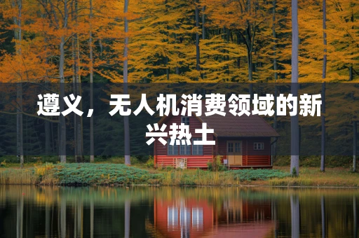 遵义，无人机消费领域的新兴热土