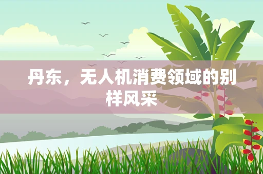 丹东，无人机消费领域的别样风采