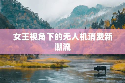 女王视角下的无人机消费新潮流
