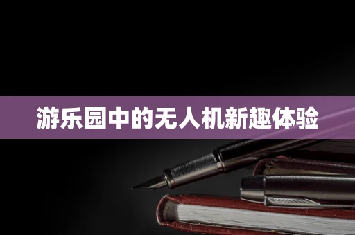 游乐园中的无人机新趣体验
