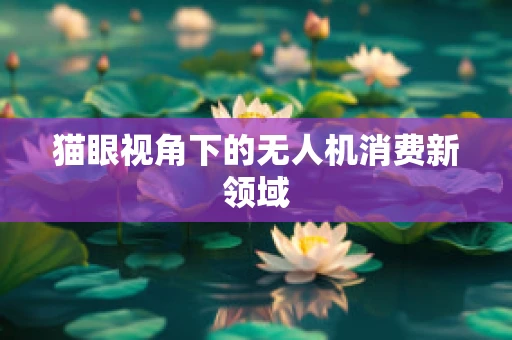 猫眼视角下的无人机消费新领域