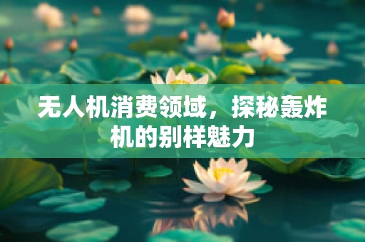 无人机消费领域，探秘轰炸机的别样魅力