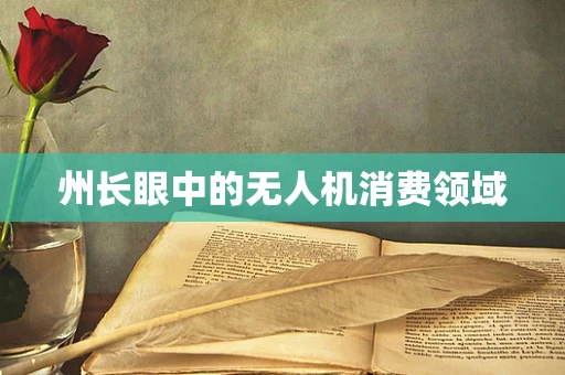 州长眼中的无人机消费领域