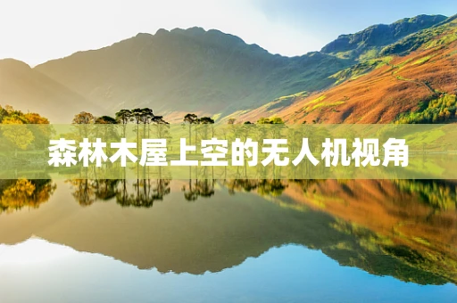 森林木屋上空的无人机视角