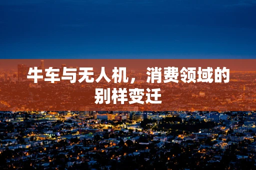 牛车与无人机，消费领域的别样变迁