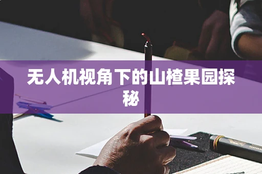 无人机视角下的山楂果园探秘
