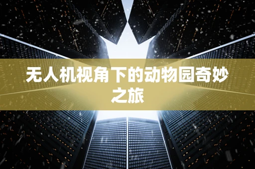 无人机视角下的动物园奇妙之旅