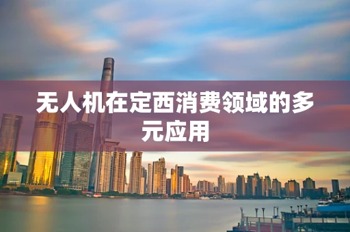 无人机在定西消费领域的多元应用