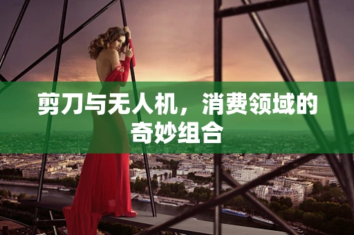 剪刀与无人机，消费领域的奇妙组合