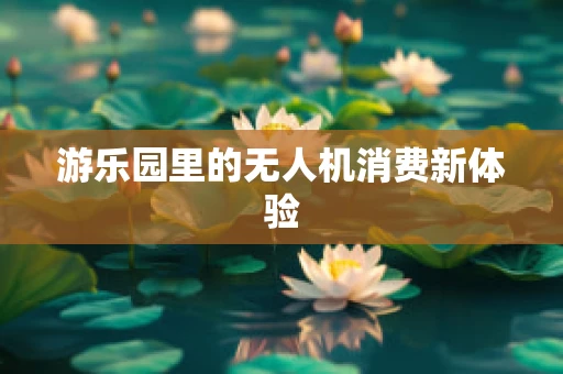 游乐园里的无人机消费新体验