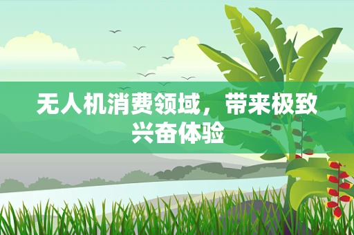 无人机消费领域，带来极致兴奋体验