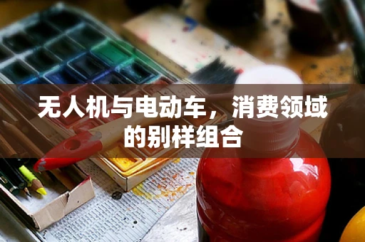 无人机与电动车，消费领域的别样组合