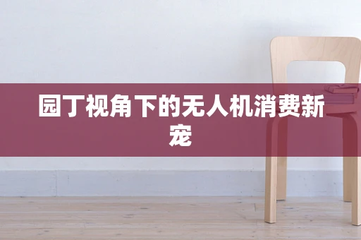 园丁视角下的无人机消费新宠