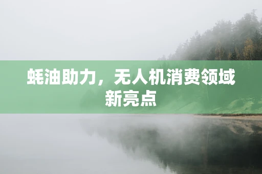 蚝油助力，无人机消费领域新亮点