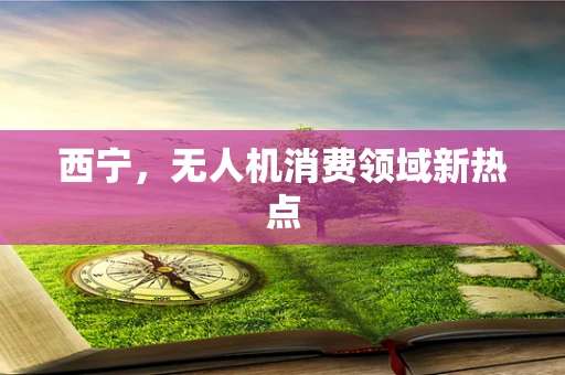 西宁，无人机消费领域新热点