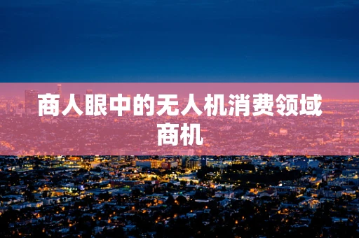 商人眼中的无人机消费领域商机