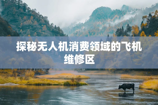 探秘无人机消费领域的飞机维修区