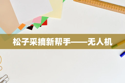 松子采摘新帮手——无人机