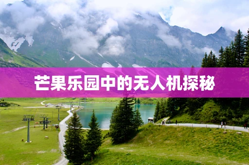 芒果乐园中的无人机探秘