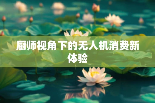 厨师视角下的无人机消费新体验