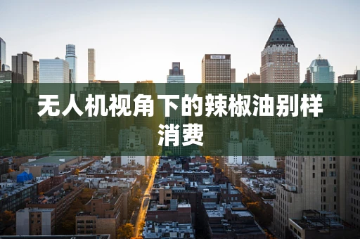 无人机视角下的辣椒油别样消费