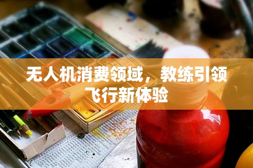 无人机消费领域，教练引领飞行新体验