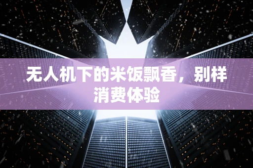 无人机下的米饭飘香，别样消费体验