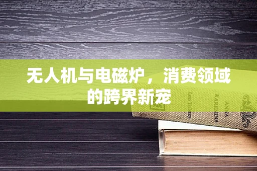 无人机与电磁炉，消费领域的跨界新宠