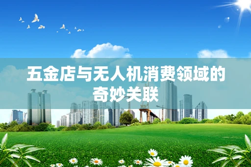 五金店与无人机消费领域的奇妙关联