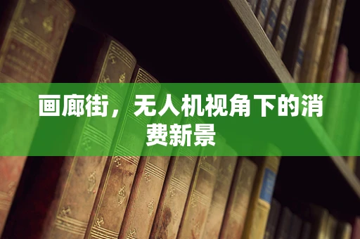画廊街，无人机视角下的消费新景