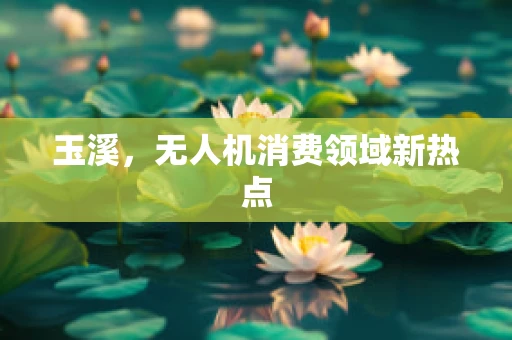 玉溪，无人机消费领域新热点