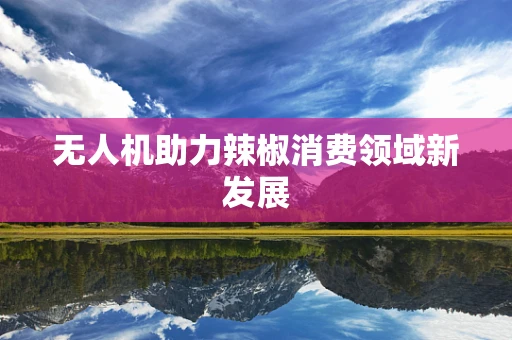 无人机助力辣椒消费领域新发展