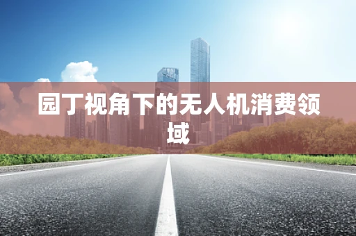 园丁视角下的无人机消费领域
