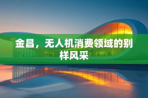 金昌，无人机消费领域的别样风采