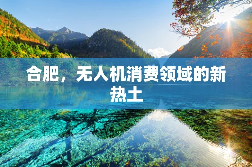 合肥，无人机消费领域的新热土