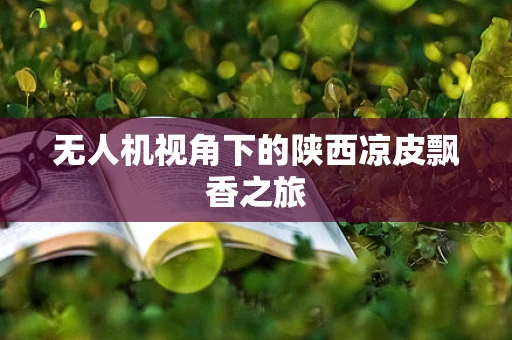 无人机视角下的陕西凉皮飘香之旅