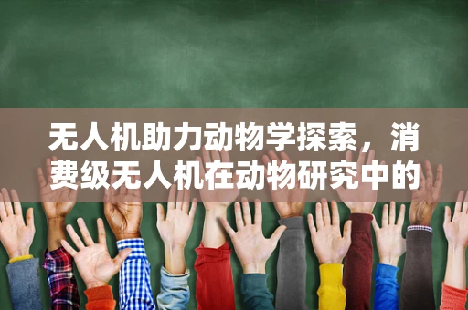 无人机助力动物学探索，消费级无人机在动物研究中的创新应用