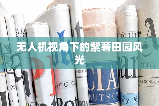 无人机视角下的紫薯田园风光