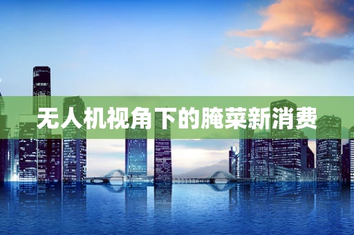 无人机视角下的腌菜新消费