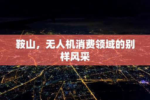鞍山，无人机消费领域的别样风采