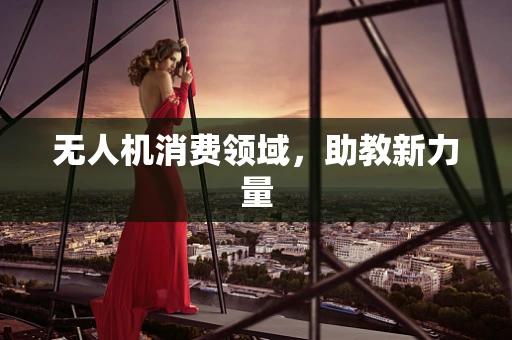 无人机消费领域，助教新力量
