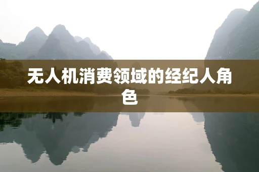 无人机消费领域的经纪人角色