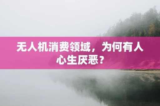 无人机消费领域，为何有人心生厌恶？
